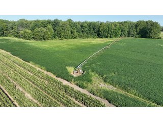 Property photo 9 - FARMLAND AUCTION - 80+/- ACRES OFFERED IN 4 TRACTS IN LAGRANGE COUNTY, INDIANA