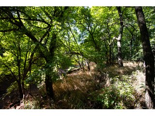 Property photo 11 - COURT ORDERED LAND AUCTION - 230+/- ACRES OFFERED IN 3 TRACTS IN NORMAN, OKLAHOMA