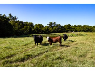 Property photo 24 - COURT ORDERED LAND AUCTION - 230+/- ACRES OFFERED IN 3 TRACTS IN NORMAN, OKLAHOMA