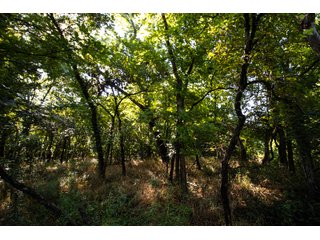Property photo 27 - COURT ORDERED LAND AUCTION - 230+/- ACRES OFFERED IN 3 TRACTS IN NORMAN, OKLAHOMA
