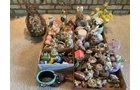 Property photo 10 - TIMED ONLINE ONLY PERSONAL PROPERTY AUCTION IN ALLEN COUNTY, INDIANA