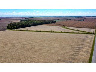 Property photo 7 - FARMLAND AUCTION - 64+/- ACRES OFFERED IN 4 TRACTS IN ALLEN COUNTY, INDIANA
