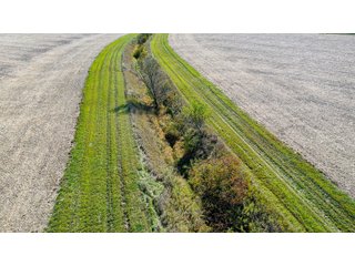 Property photo 12 - FARMLAND AUCTION - 64+/- ACRES OFFERED IN 4 TRACTS IN ALLEN COUNTY, INDIANA