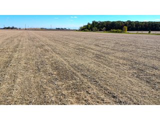 Property photo 15 - FARMLAND AUCTION - 64+/- ACRES OFFERED IN 4 TRACTS IN ALLEN COUNTY, INDIANA
