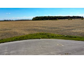 Property photo 16 - FARMLAND AUCTION - 64+/- ACRES OFFERED IN 4 TRACTS IN ALLEN COUNTY, INDIANA