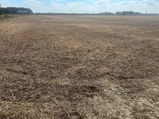 Property photo 36 - FARMLAND AUCTION - 64+/- ACRES OFFERED IN 4 TRACTS IN ALLEN COUNTY, INDIANA