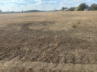 Property photo 37 - FARMLAND AUCTION - 64+/- ACRES OFFERED IN 4 TRACTS IN ALLEN COUNTY, INDIANA