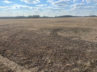 Property photo 39 - FARMLAND AUCTION - 64+/- ACRES OFFERED IN 4 TRACTS IN ALLEN COUNTY, INDIANA