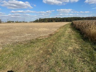 Property photo 40 - FARMLAND AUCTION - 64+/- ACRES OFFERED IN 4 TRACTS IN ALLEN COUNTY, INDIANA
