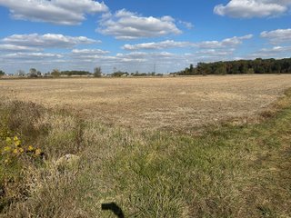 Property photo 41 - FARMLAND AUCTION - 64+/- ACRES OFFERED IN 4 TRACTS IN ALLEN COUNTY, INDIANA