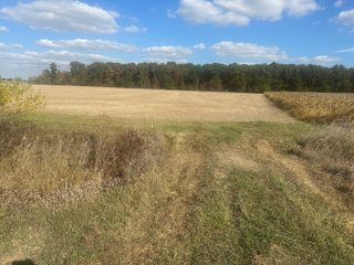 Property photo 45 - FARMLAND AUCTION - 64+/- ACRES OFFERED IN 4 TRACTS IN ALLEN COUNTY, INDIANA