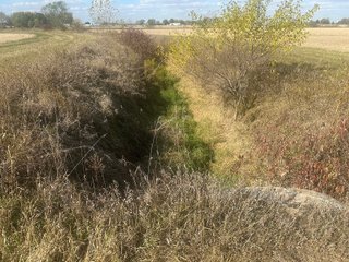 Property photo 46 - FARMLAND AUCTION - 64+/- ACRES OFFERED IN 4 TRACTS IN ALLEN COUNTY, INDIANA