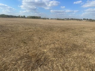 Property photo 50 - FARMLAND AUCTION - 64+/- ACRES OFFERED IN 4 TRACTS IN ALLEN COUNTY, INDIANA