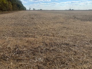 Property photo 54 - FARMLAND AUCTION - 64+/- ACRES OFFERED IN 4 TRACTS IN ALLEN COUNTY, INDIANA
