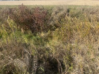 Property photo 58 - FARMLAND AUCTION - 64+/- ACRES OFFERED IN 4 TRACTS IN ALLEN COUNTY, INDIANA