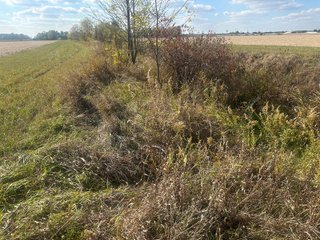 Property photo 60 - FARMLAND AUCTION - 64+/- ACRES OFFERED IN 4 TRACTS IN ALLEN COUNTY, INDIANA