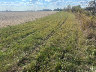 Property photo 61 - FARMLAND AUCTION - 64+/- ACRES OFFERED IN 4 TRACTS IN ALLEN COUNTY, INDIANA
