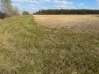 Property photo 62 - FARMLAND AUCTION - 64+/- ACRES OFFERED IN 4 TRACTS IN ALLEN COUNTY, INDIANA