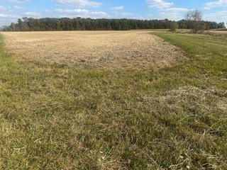 Property photo 63 - FARMLAND AUCTION - 64+/- ACRES OFFERED IN 4 TRACTS IN ALLEN COUNTY, INDIANA