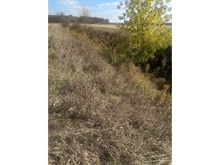 Property photo 64 - FARMLAND AUCTION - 64+/- ACRES OFFERED IN 4 TRACTS IN ALLEN COUNTY, INDIANA