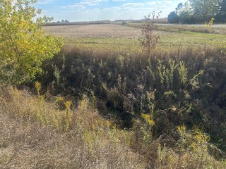 Property photo 65 - FARMLAND AUCTION - 64+/- ACRES OFFERED IN 4 TRACTS IN ALLEN COUNTY, INDIANA