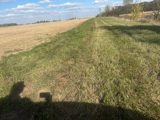 Property photo 68 - FARMLAND AUCTION - 64+/- ACRES OFFERED IN 4 TRACTS IN ALLEN COUNTY, INDIANA
