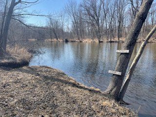 Property photo 71 - LAND AUCTION - 81.5+/-ACRES OFFERED IN 3 TRACTS IN ST JOSEPH COUNTY, MICHIGAN