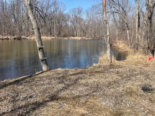 Property photo 80 - LAND AUCTION - 81.5+/-ACRES OFFERED IN 3 TRACTS IN ST JOSEPH COUNTY, MICHIGAN