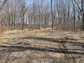 Property photo 79 - LAND AUCTION - 81.5+/-ACRES OFFERED IN 3 TRACTS IN ST JOSEPH COUNTY, MICHIGAN