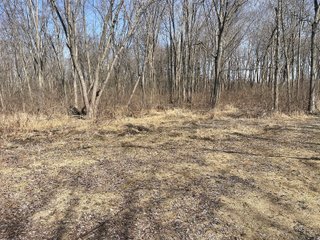 Property photo 78 - LAND AUCTION - 81.5+/-ACRES OFFERED IN 3 TRACTS IN ST JOSEPH COUNTY, MICHIGAN