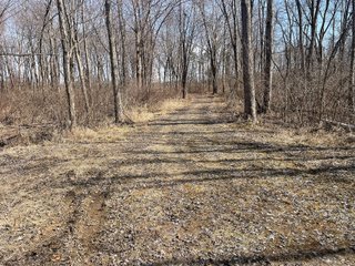 Property photo 77 - LAND AUCTION - 81.5+/-ACRES OFFERED IN 3 TRACTS IN ST JOSEPH COUNTY, MICHIGAN