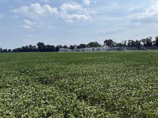 Property photo 51 - LAND AUCTION - 81.5+/-ACRES OFFERED IN 3 TRACTS IN ST JOSEPH COUNTY, MICHIGAN