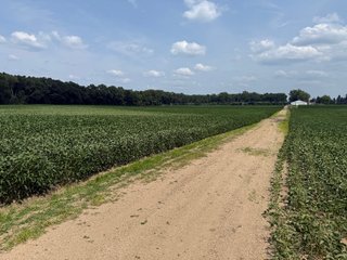 Property photo 50 - LAND AUCTION - 81.5+/-ACRES OFFERED IN 3 TRACTS IN ST JOSEPH COUNTY, MICHIGAN