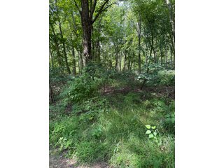 Property photo 23 - LAND AUCTION - 81.5+/-ACRES OFFERED IN 3 TRACTS IN ST JOSEPH COUNTY, MICHIGAN