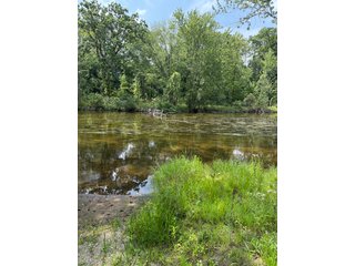 Property photo 47 - LAND AUCTION - 81.5+/-ACRES OFFERED IN 3 TRACTS IN ST JOSEPH COUNTY, MICHIGAN