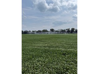 Property photo 35 - LAND AUCTION - 81.5+/-ACRES OFFERED IN 3 TRACTS IN ST JOSEPH COUNTY, MICHIGAN