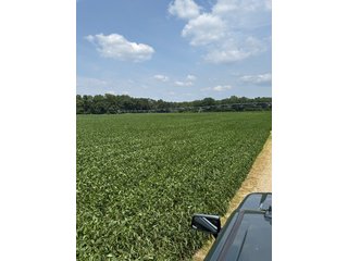 Property photo 40 - LAND AUCTION - 81.5+/-ACRES OFFERED IN 3 TRACTS IN ST JOSEPH COUNTY, MICHIGAN