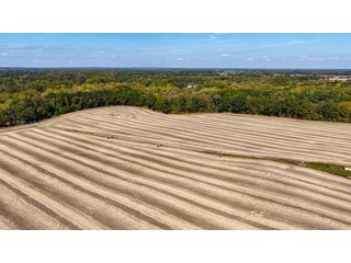 Property photo 6 - LAND AUCTION - 81.5+/-ACRES OFFERED IN 3 TRACTS IN ST JOSEPH COUNTY, MICHIGAN