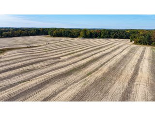 Property photo 11 - LAND AUCTION - 81.5+/-ACRES OFFERED IN 3 TRACTS IN ST JOSEPH COUNTY, MICHIGAN