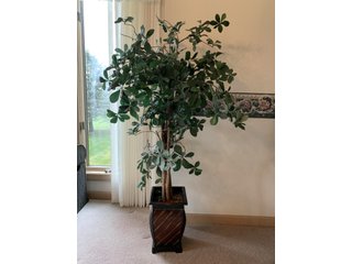 Property photo 238 - TIMED ONLINE ONLY PERSONAL PROPERTY AUCTION IN ALLEN COUNTY, INDIANA