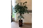 Property photo 238 - TIMED ONLINE ONLY PERSONAL PROPERTY AUCTION IN ALLEN COUNTY, INDIANA