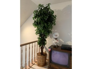Property photo 296 - TIMED ONLINE ONLY PERSONAL PROPERTY AUCTION IN ALLEN COUNTY, INDIANA