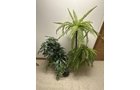 Property photo 689 - TIMED ONLINE ONLY PERSONAL PROPERTY AUCTION IN ALLEN COUNTY, INDIANA