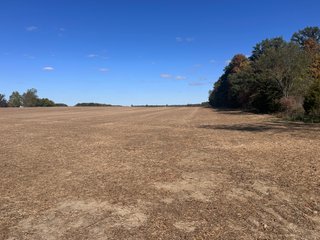 Property photo 15 - LAND AUCTION - 109.5+/- ACRES OFFERED IN 8 TRACTS IN ALLEN COUNTY, INDIANA