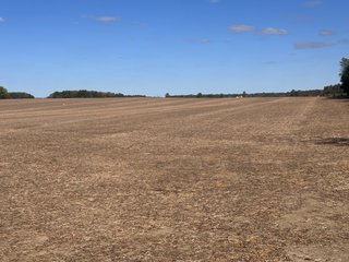 Property photo 14 - LAND AUCTION - 109.5+/- ACRES OFFERED IN 8 TRACTS IN ALLEN COUNTY, INDIANA
