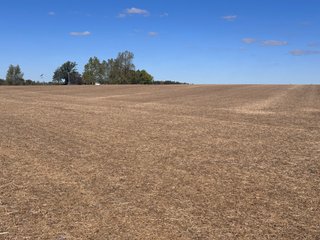 Property photo 19 - LAND AUCTION - 109.5+/- ACRES OFFERED IN 8 TRACTS IN ALLEN COUNTY, INDIANA