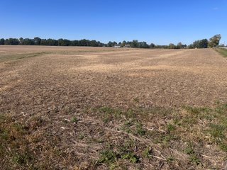Property photo 30 - LAND AUCTION - 109.5+/- ACRES OFFERED IN 8 TRACTS IN ALLEN COUNTY, INDIANA