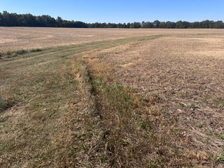 Property photo 29 - LAND AUCTION - 109.5+/- ACRES OFFERED IN 8 TRACTS IN ALLEN COUNTY, INDIANA