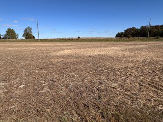 Property photo 24 - LAND AUCTION - 109.5+/- ACRES OFFERED IN 8 TRACTS IN ALLEN COUNTY, INDIANA