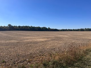Property photo 37 - LAND AUCTION - 109.5+/- ACRES OFFERED IN 8 TRACTS IN ALLEN COUNTY, INDIANA